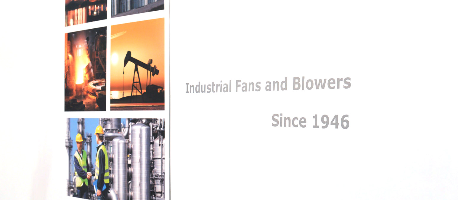 Stiavelli Irio Company