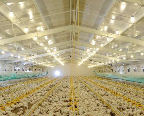 extractor-fans-for-breeding