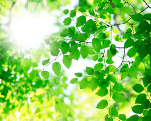 Green-Technology-for-Industrial-Fans
